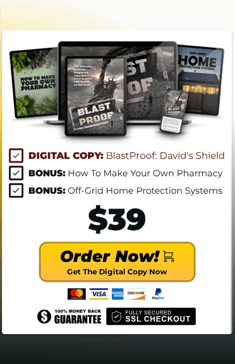 David's Shield Price